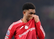 开云官方app入口-关于南安普顿主场惊险胜利，庆祝胜利的信息