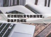 开云体育中国官网-哥廷根球队宣布新援加盟，豪强声势崛起的简单介绍