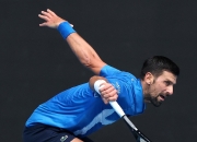 开云体育平台APP-意大利网球队横扫美国网球队，德约科维奇送出助攻的简单介绍