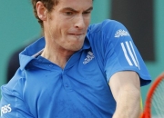 开云体育登录-包含西班牙网球队爆冷日本网球队，穆雷高光表现的词条