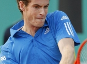 开云体育登录-包含西班牙网球队爆冷日本网球队，穆雷高光表现的词条