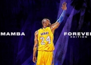 开云体育-美加墨世界杯焦点战倒计时，快船终结尼克斯的启示，团队磨合决定巅峰