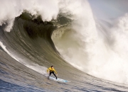 开云官方app入口-克莱·汤普森单骑救主，凯尔特人团队碾压步行者