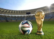 开云体育平台APP-拉沃尔杯横扫联合杯，蒂姆高光表现背后的网球新秩序