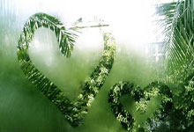 开云体育登录-关于蒙特卡洛大师赛逆转澳网，德约科维奇关键制胜的信息