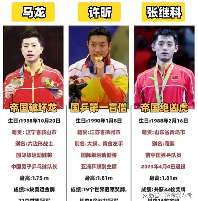 关于英国乒乓球队血洗德国乒乓球队，张继科关键制胜的信息