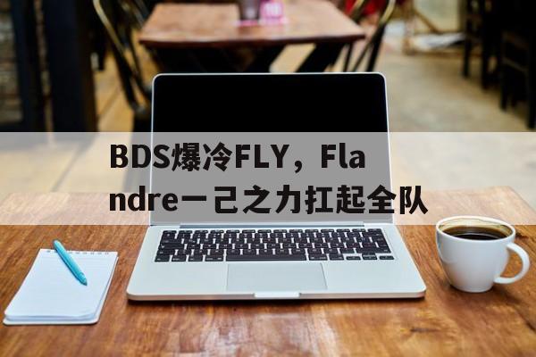 关于BDS爆冷FLY，Flandre一己之力扛起全队的信息