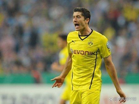 波兰队在比赛中取得胜利,球队士气高涨 波兰队在比赛中取得胜利,球队士气高涨