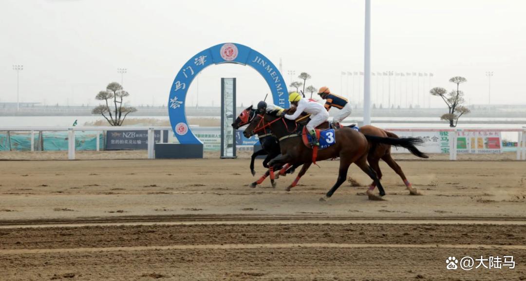 南非运动员在赛马项目中斩获胜利 南非运动员在赛马项目中斩获胜利