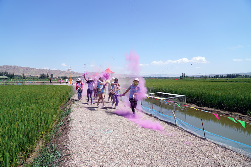 甘肃不甘示弱，四川连挫多场