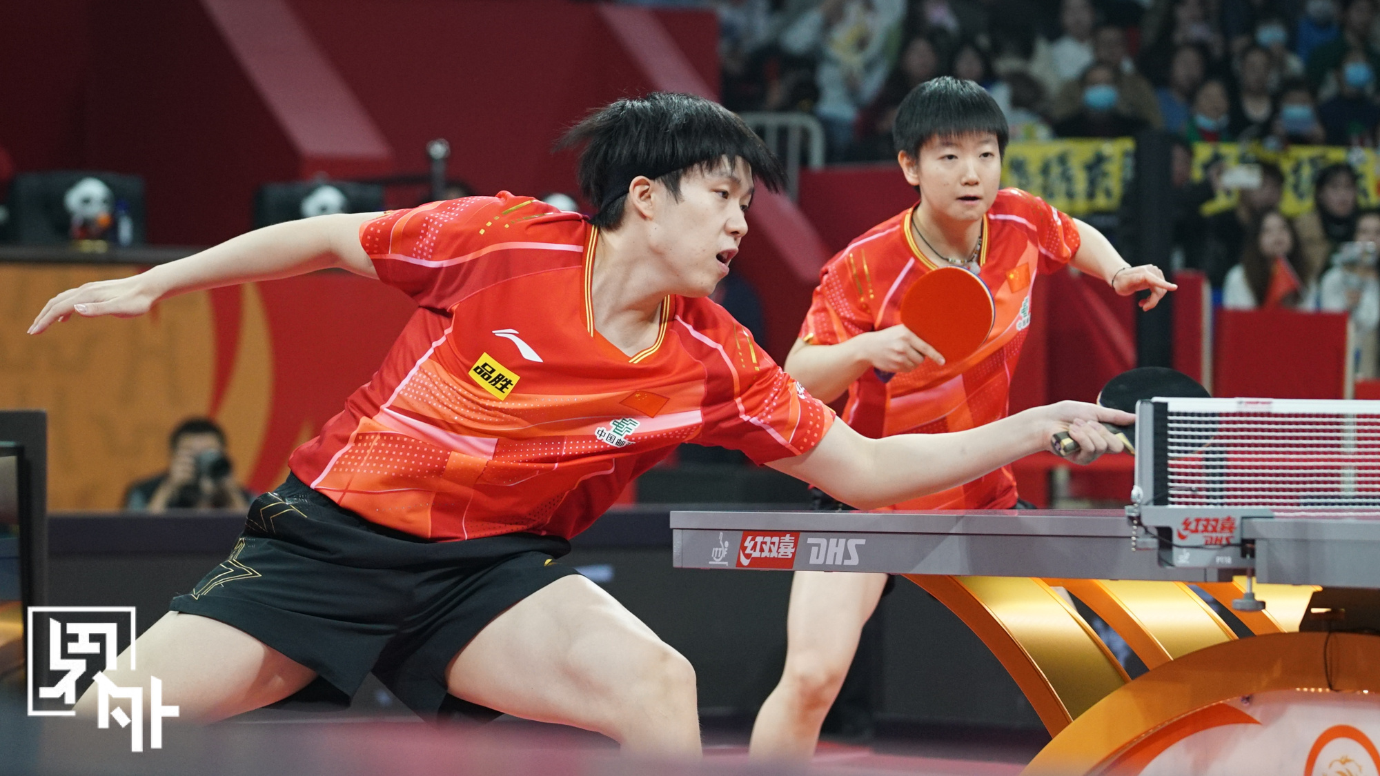 德国乒乓球队完胜日本乒乓球队，波尔送出助攻