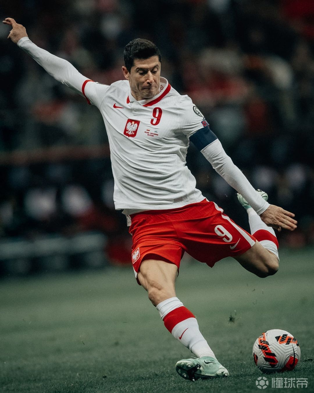 贝尔吉亚队在欧预赛小组赛中抢占先机的简单介绍