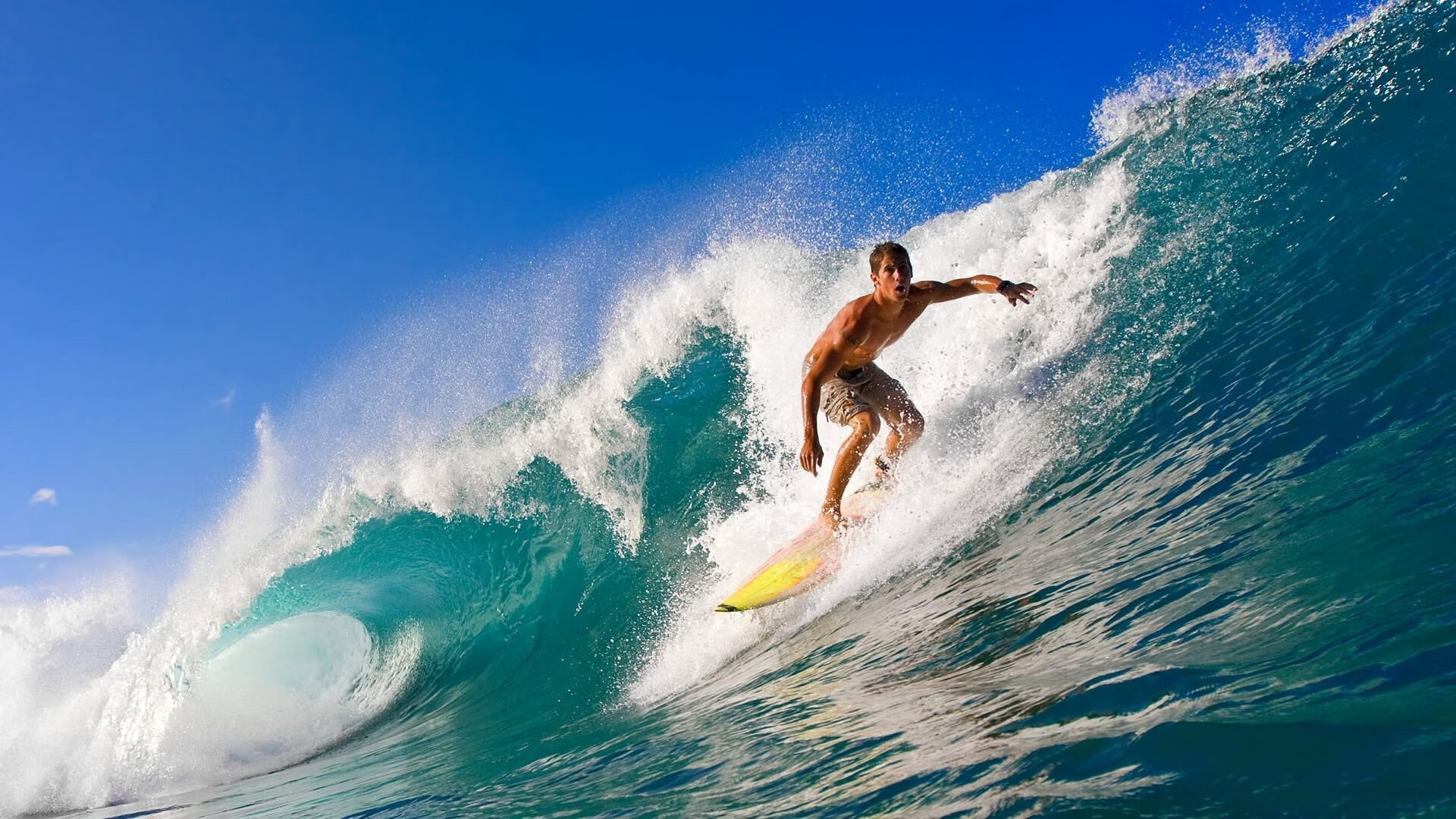 西决生死战之夜，范戴克关键制胜